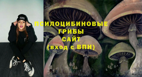 гидропоника Алзамай